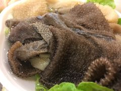 -朱氏胖子烂火锅(洪崖洞店)