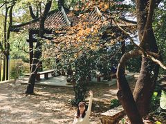 -广州市石门国家森林公园