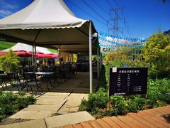 -紫颐香薰山谷景区