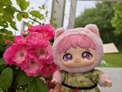 -大望京公园