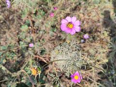 -蟠龙山长城景区
