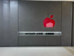 -红星美凯龙(上海沪南店)