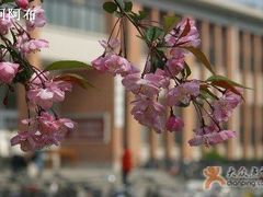 -同济大学（四平路校区）-图书馆