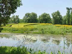 -梁鸿国家湿地公园