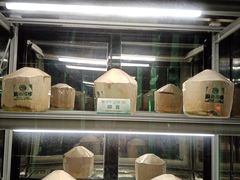-凤园椰珍·臻品椰子鸡(保利时光里店)