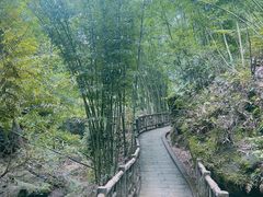 -沐川竹海旅游景区