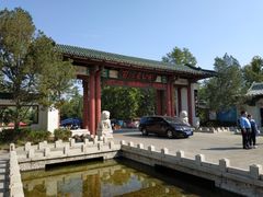 -百脉泉景区