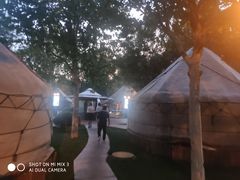 -九十九顶毡房(阜石路店)