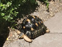 -嵩祝寺及智珠寺