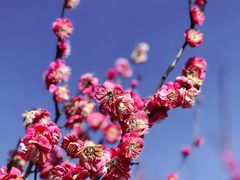 -蜀冈西峰生态公园