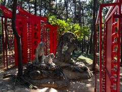 -红螺寺