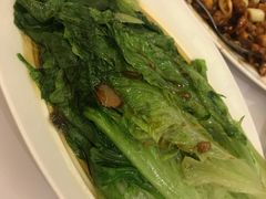 -眉州东坡(中日友好医院店)