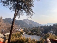 -潭柘寺景区
