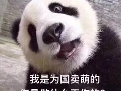 -西山悦咖啡