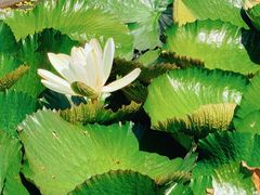 -三亚南山文化旅游区