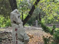 -四门塔风景区