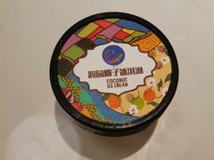 润园椰子冰淇淋-润园四季椰子鸡火锅(南山海岸城店)