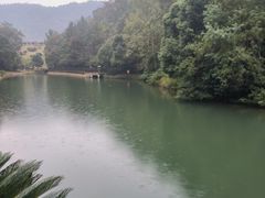 -桃花岭景区