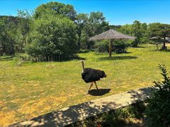 -沈阳森林动物园