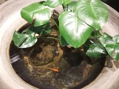 -川旺角川粤融合菜•海景餐厅(星海广场店)