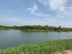 -东郊湿地公园