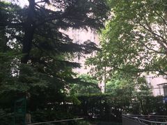 -华山儿童公园