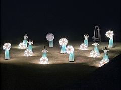 -荷兰花海