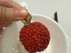 -椿记烧鹅(叠彩店)