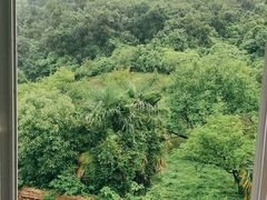 -苏州上方山国家森林公园
