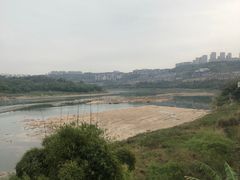 -弓虽昌焖烧鸡(大竹林店)