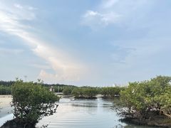 -北海金海湾红树林生态旅游区