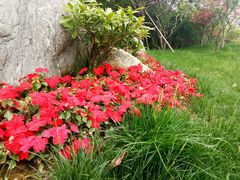 -艾溪湖湿地公园