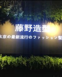 -藤野造型