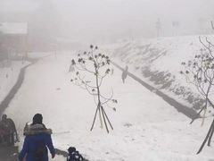 -西岭雪山大飞水景区