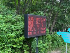 -五营红松林海景区