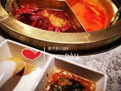 麻路奔驰锅-麻路成都火锅(柏威年店)