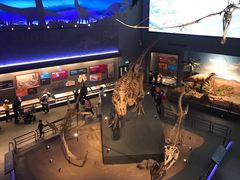 -贝林大翅鲸简餐厅(国家海洋博物馆店)