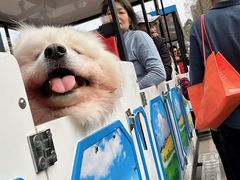 -三圣花乡旅游区