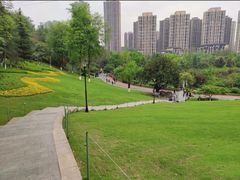 -龙头寺公园