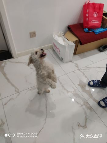 完全不要尊严的,让站就站,让滚坚决不滚…