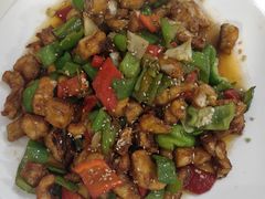 -煲来饱去冷水鱼
