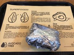 -油梨树 AVOCADO TREE(亮马桥店)