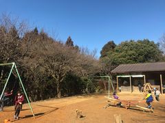 -岚山猴子公园