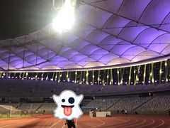 -深圳市宝安体育中心体育场