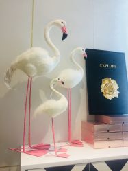 点击看大图 -INNEREAL英妮芮医疗美容