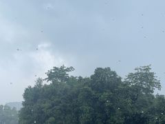 -荔湾湖公园