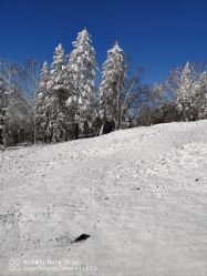 -大秃顶子山