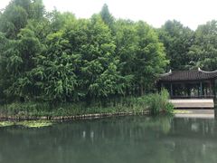 -尚贤河湿地