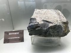 景点-甘肃地质博物馆