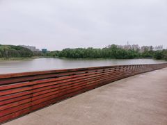 -昆山城市生态森林公园